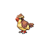 Pidgey - Black White (Normal)