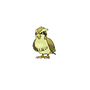 Pidgey - Bank