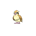 Pidgey - Omega Ruby Alpha Sapphire (Normal)