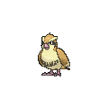 Pidgey - X Y (Normal)