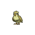 Pidgey - X Y (Shiny)