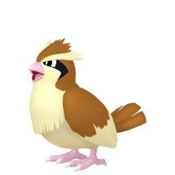 Pidgey - Home