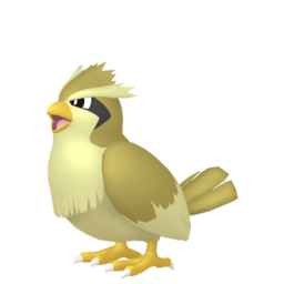 Pidgey - Home