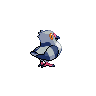 Pidove - Black White (Back View (Shiny))