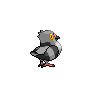 Pidove - Black White (Back View)