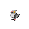 Pidove - Black White (Normal)