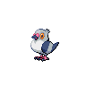 Pidove - Black White (Shiny)