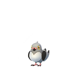 Pidove - GO