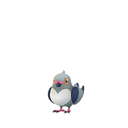 Pidove - GO (Shiny)