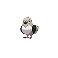 Pidove - Omega Ruby Alpha Sapphire (Normal)