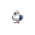 Pidove - Omega Ruby Alpha Sapphire (Shiny)