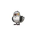 Pidove - X Y (Normal)