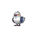 Pidove - X Y (Shiny)