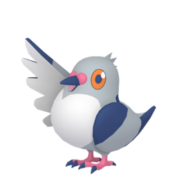 Pidove - Home