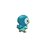 Piplup - Black White (Back View (Shiny))