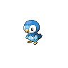 Piplup - Black White (Normal)