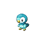 Piplup - Black White (Shiny)