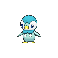Piplup - X Y (Shiny)