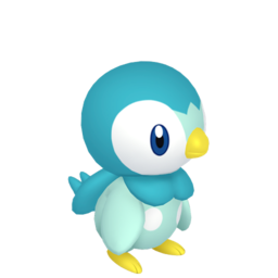 Piplup - Home