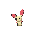 Plusle - X Y (Normal)