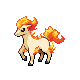 Ponyta - HeartGold SoulSilver (Normal)