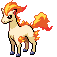 Ponyta - Black 2 White 2 Black White Animated (Normal)