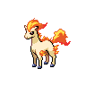 Ponyta - Black White (Normal)
