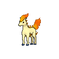 Ponyta - X Y (Normal)