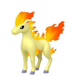 Ponyta - Home