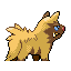 Poochyena - Emerald (Back View (Shiny))