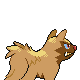 Poochyena - Diamond Pearl (Back View (Shiny))