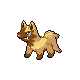 Poochyena - Diamond Pearl (Shiny)