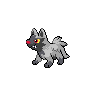 Poochyena - Black White (Normal)