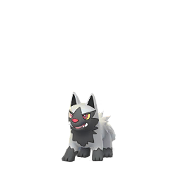 Poochyena - GO (Normal)