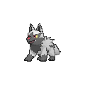 Poochyena - X Y (Normal)
