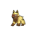 Poochyena - X Y (Shiny)