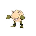 Primeape - Omega Ruby Alpha Sapphire (Shiny)
