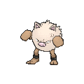 Primeape - X Y (Normal)