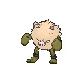 Primeape - X Y (Shiny)