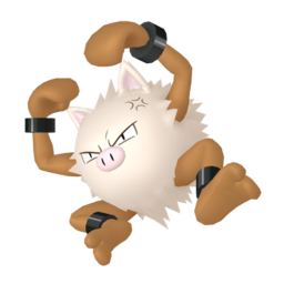 Primeape - Home