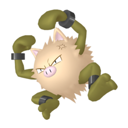 Primeape - Home