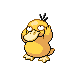 Psyduck - Platinum (Normal)