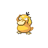 Psyduck - Black White (Normal)