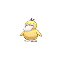 Psyduck - Bank (Normal)