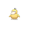 Psyduck - Omega Ruby Alpha Sapphire (Normal)
