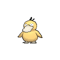 Psyduck - X Y (Normal)