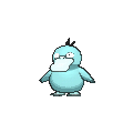 Psyduck - X Y (Shiny)