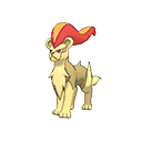 Pyroar - Bank (Shiny)