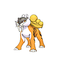 Raikou - Omega Ruby Alpha Sapphire (Shiny)