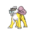 Raikou - X Y (Normal)